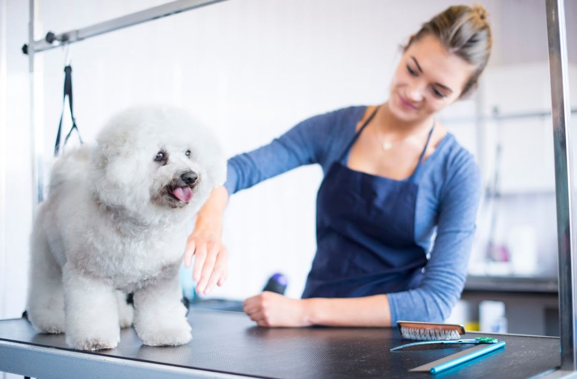 Peluquería y Estética Canina