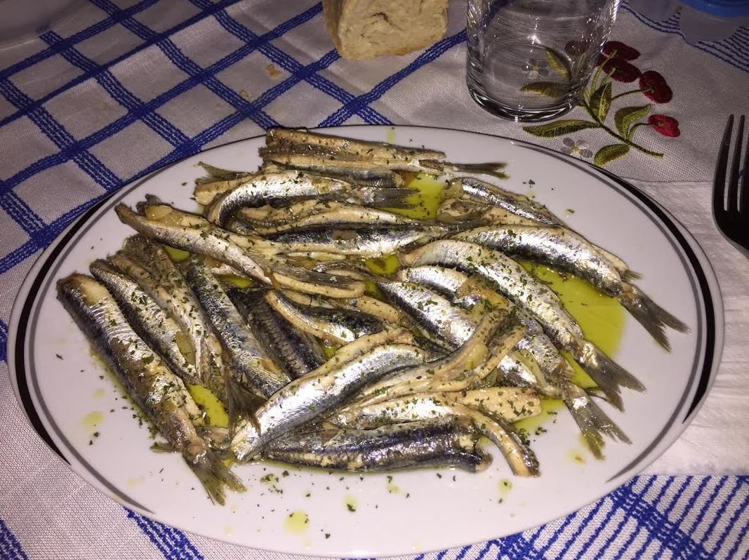 Anchoas del Cantábrico