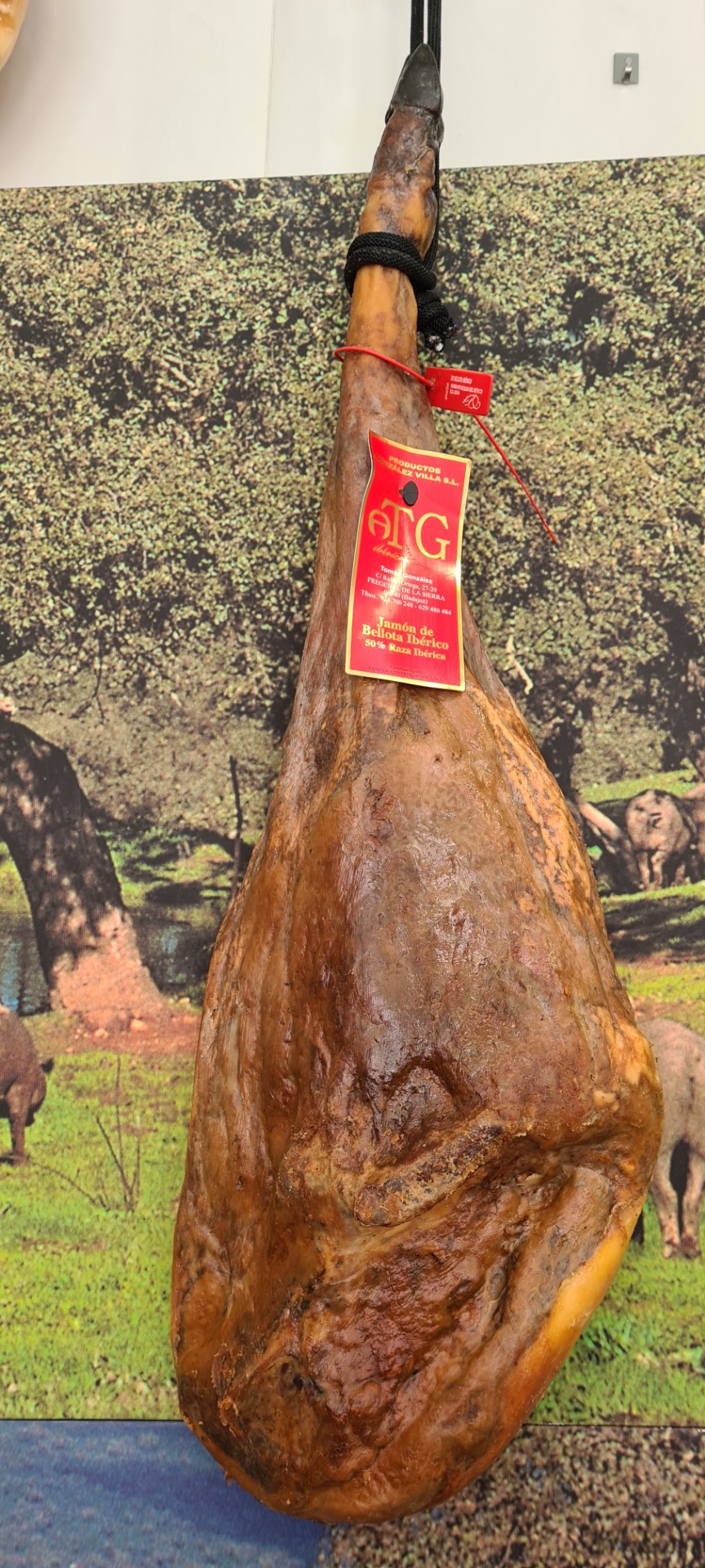 Productos curados