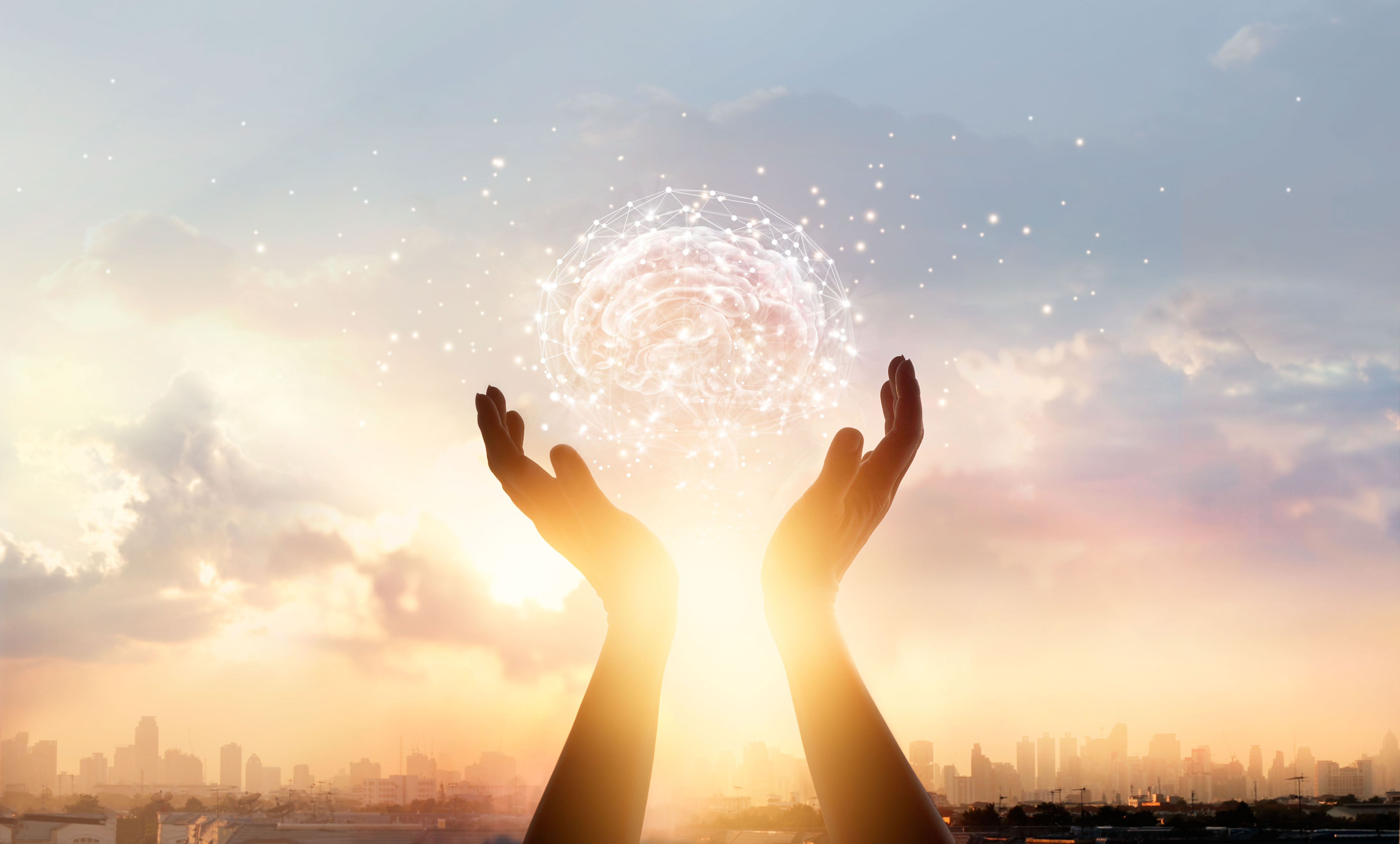 Entrenamiento integral consciente físico, emocional y mental