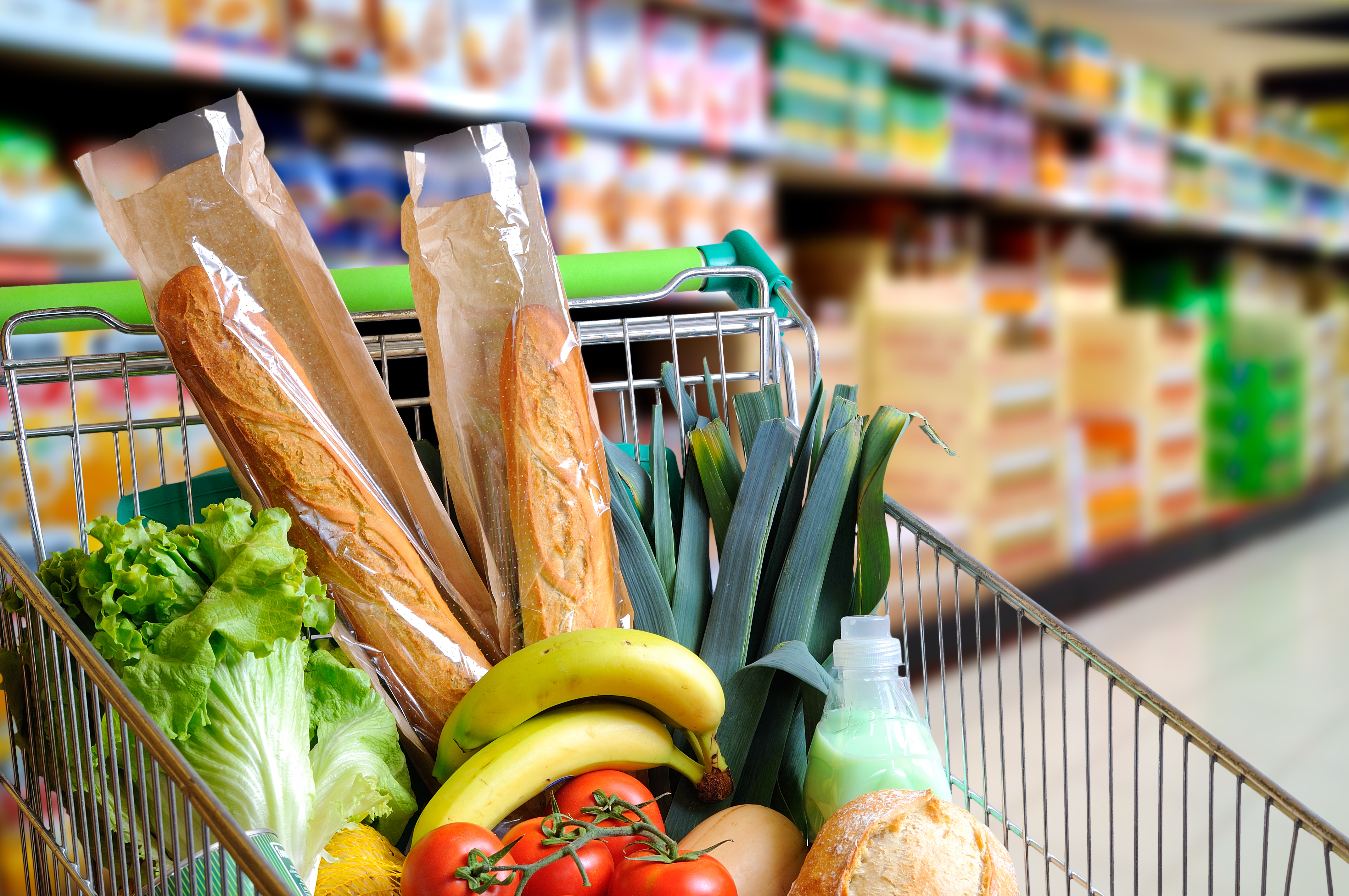 Alimentación