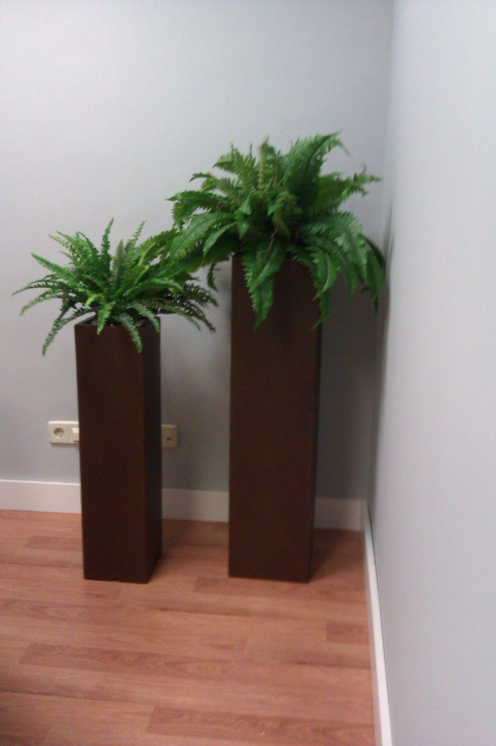 Plantas Artificiales