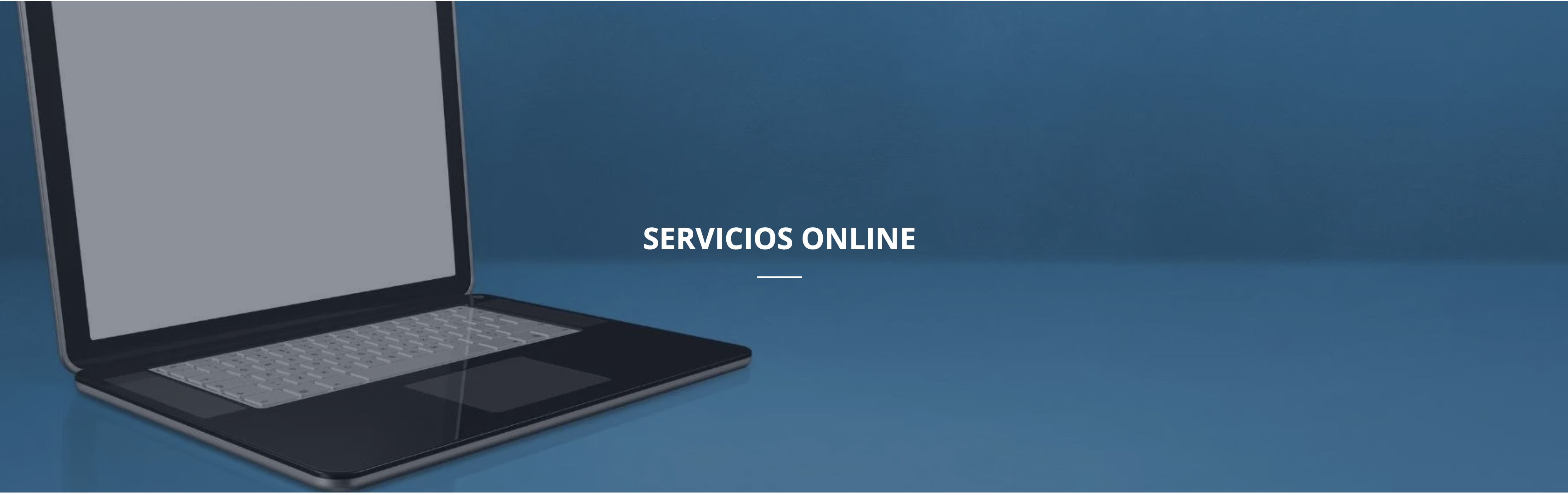 Servicios Online