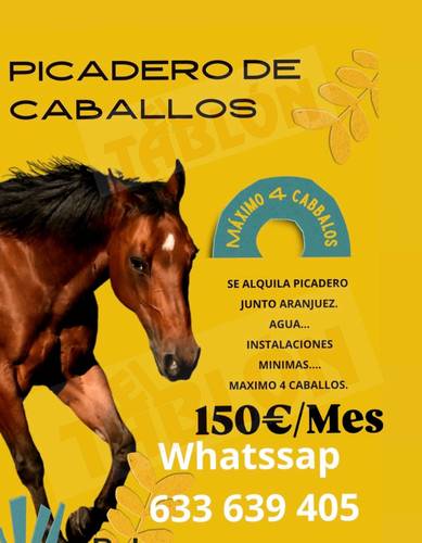 PICADERO DE CABALLOS