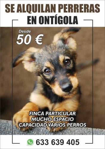 PERRERAS EN ONTIGOLA