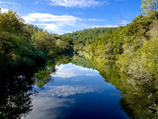 Ruta da Ribeira do Ulla