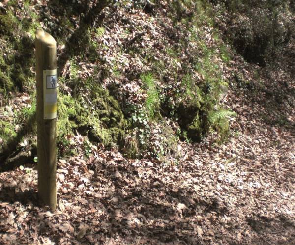 Ruta de San Xoán da Cova