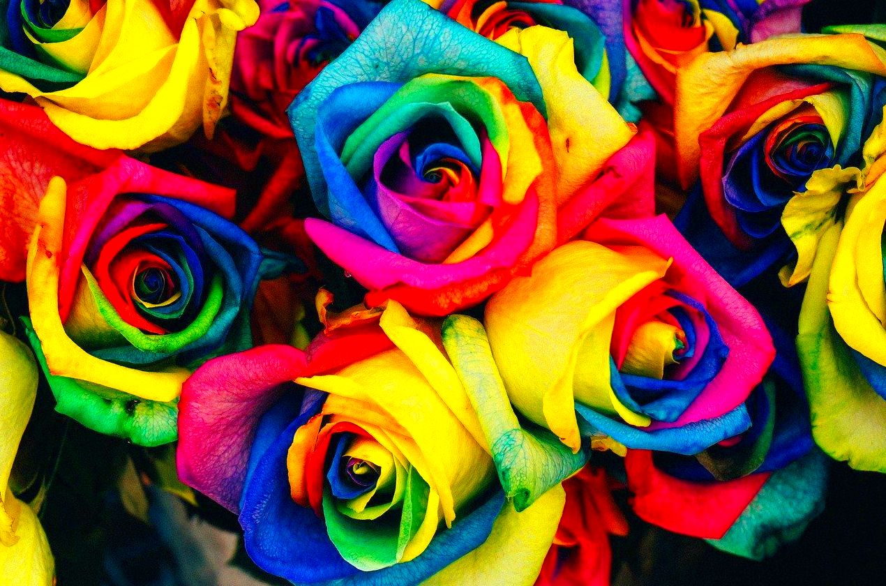 Terapia afirmativa Gay