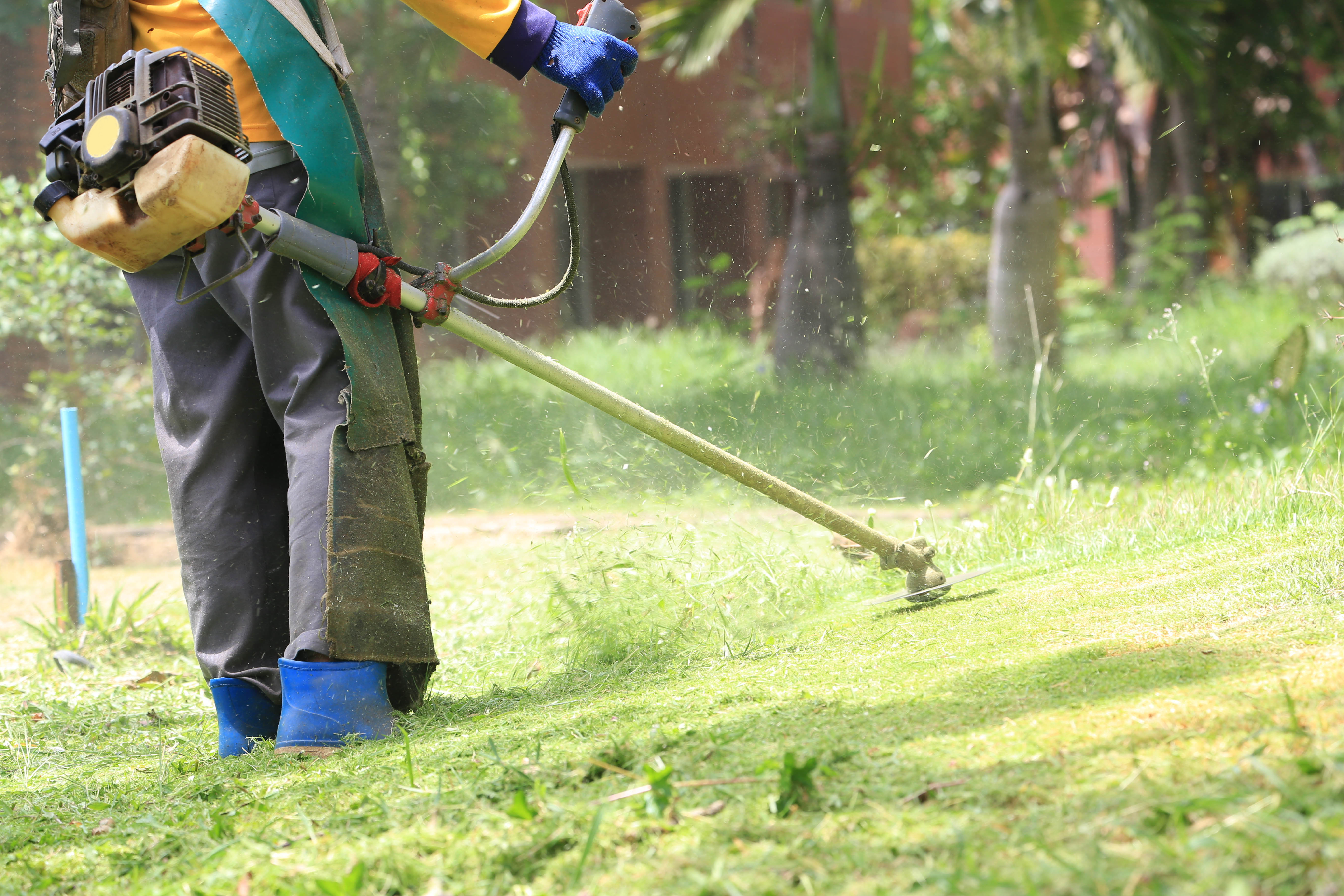 Alquiler de maquinaria de jardinería