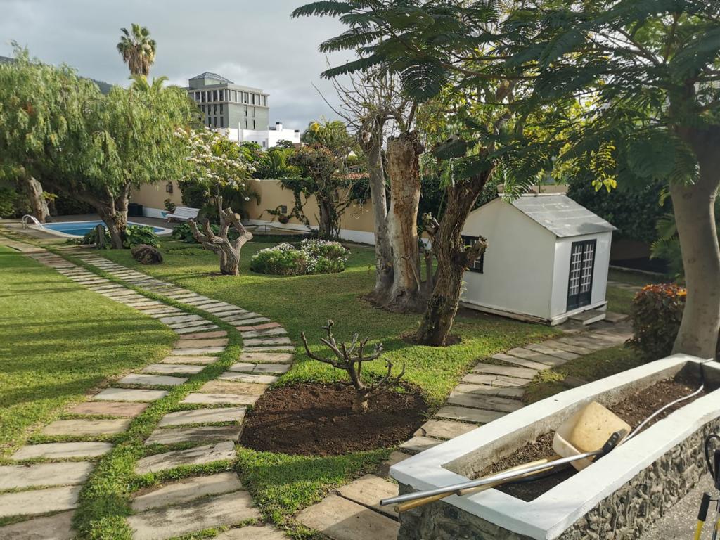 Limpieza y puesta a punto de jardines