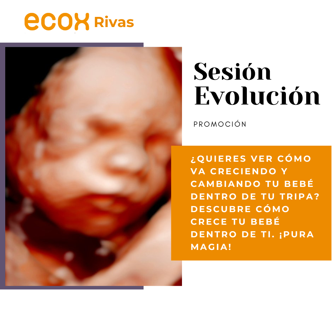 Sesión Evolución