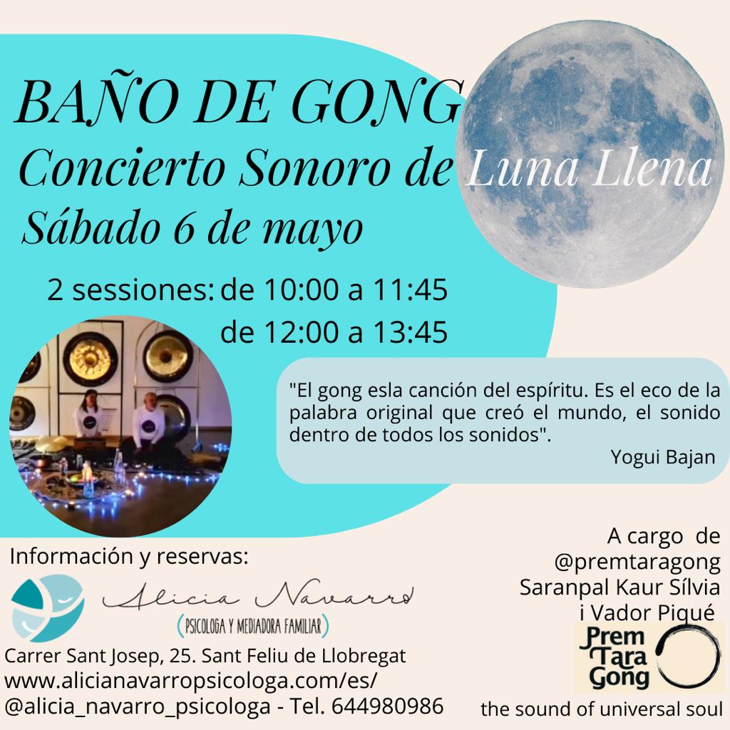 TALLER BANY DE GONGS