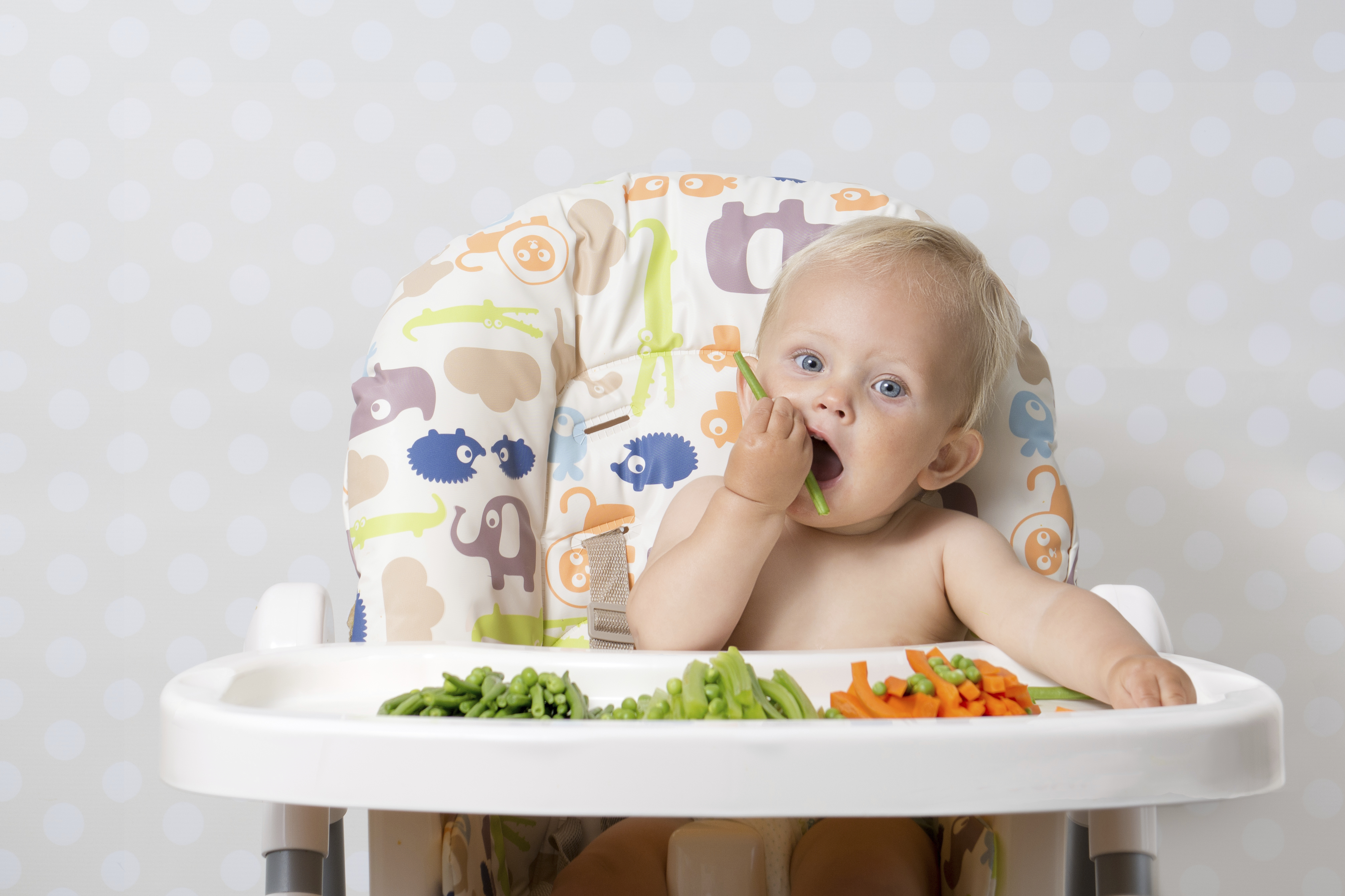 Alimentación complementaria y baby led weaning