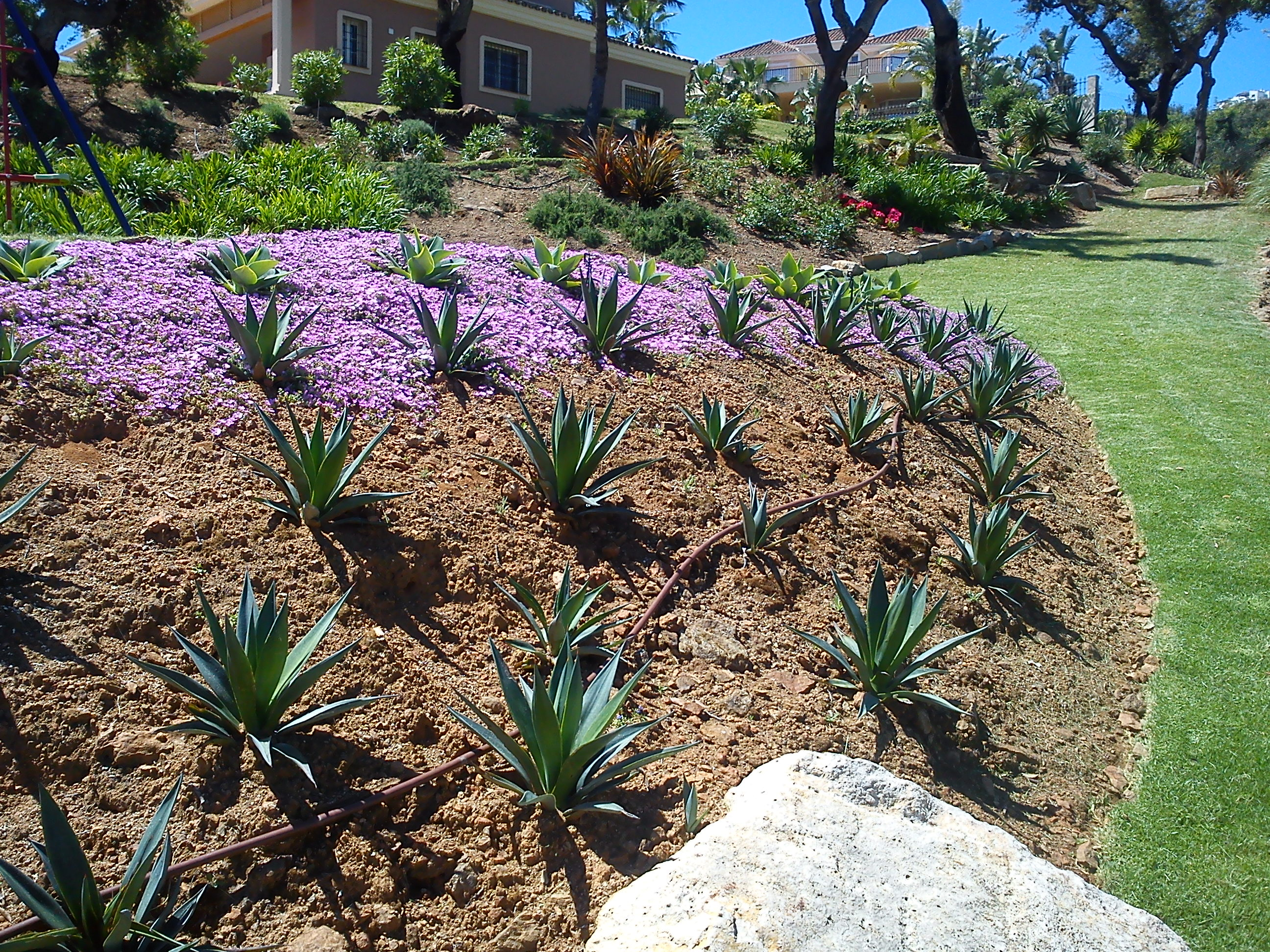 Jardinería