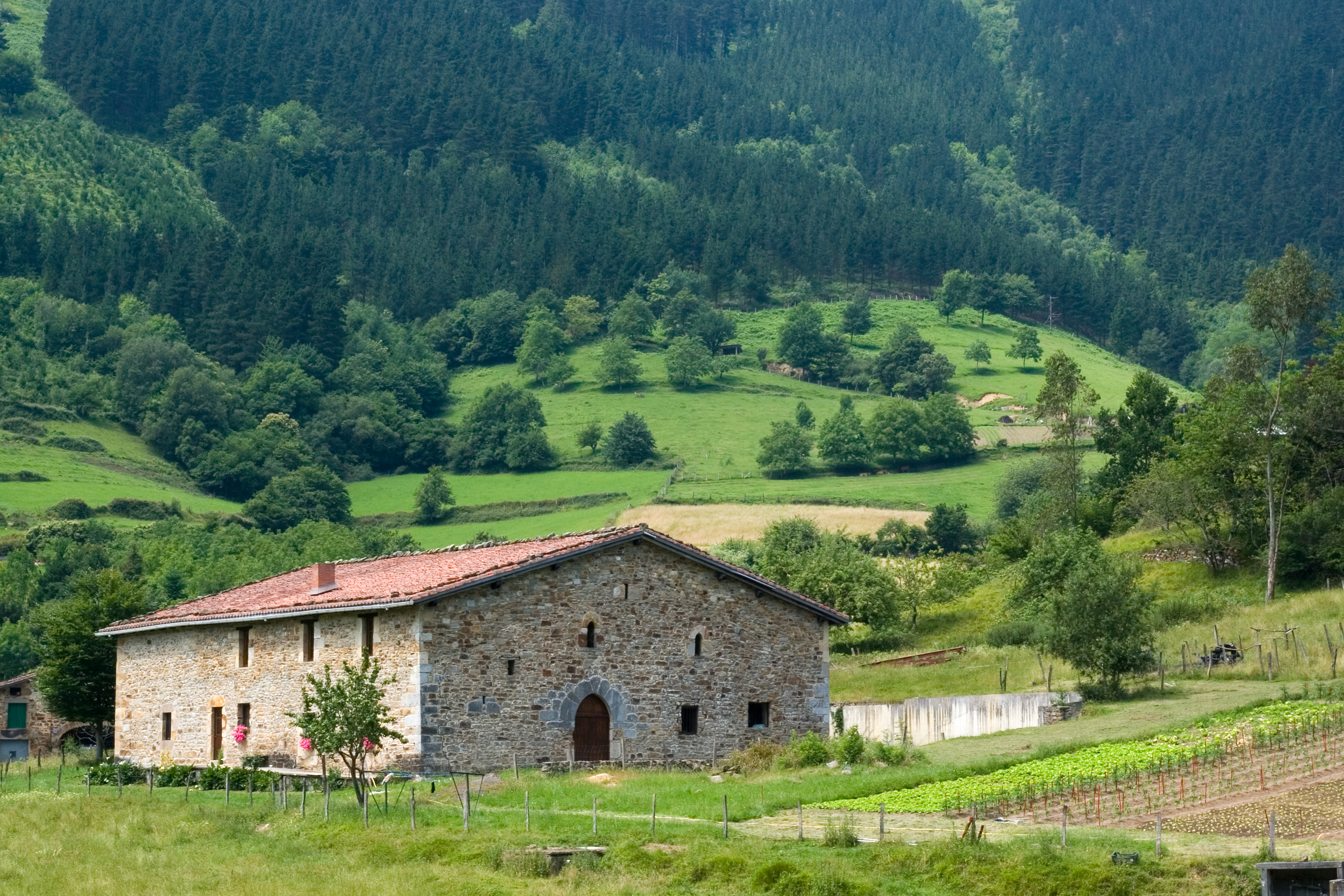 Particiones de fincas rústicas