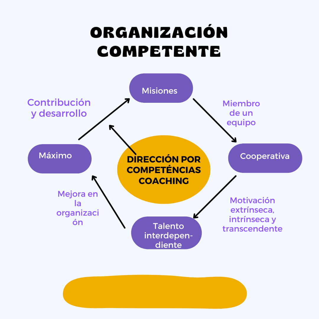 Business Coaching