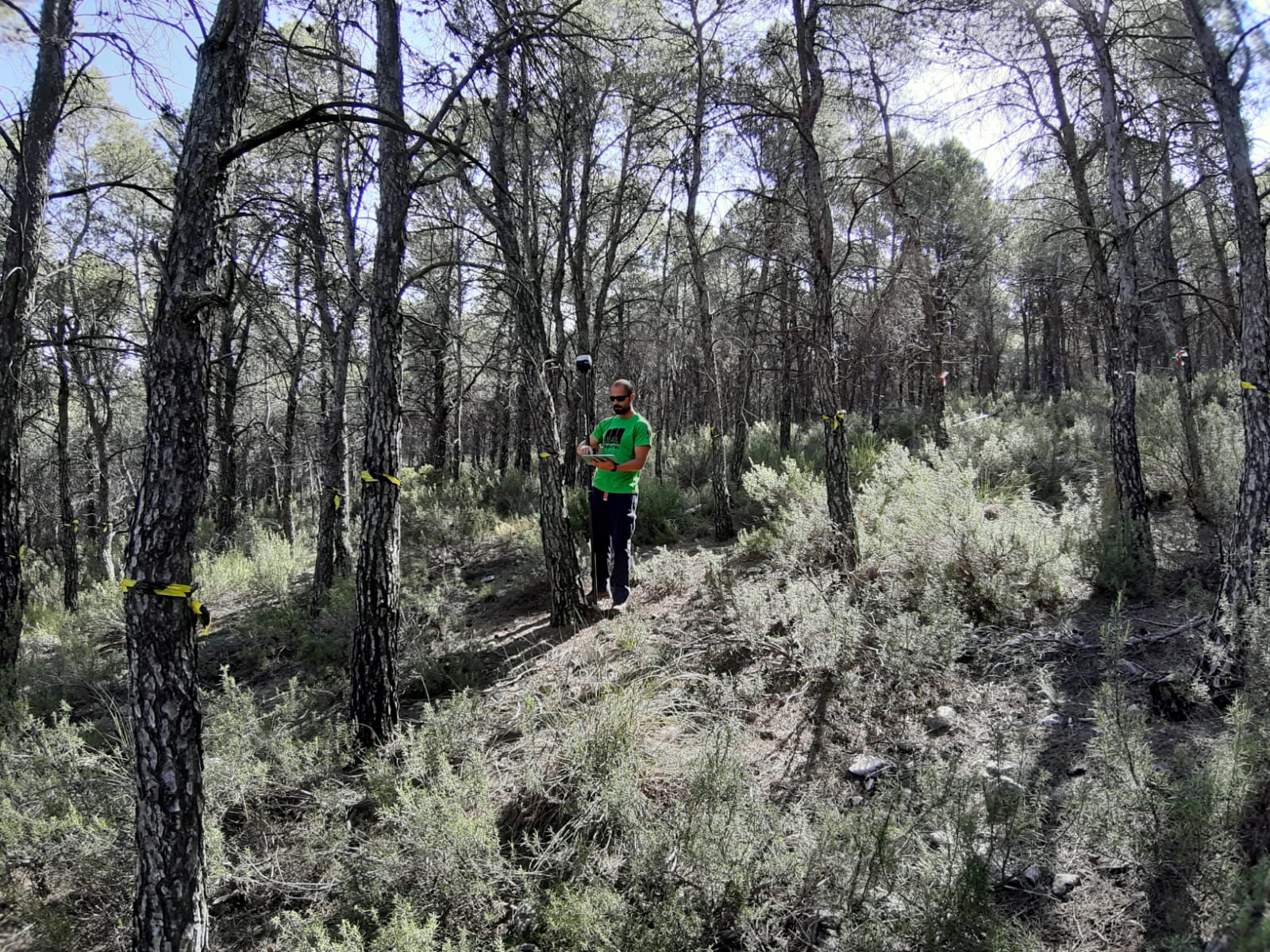 Ingeniería Forestal y Medioambiental en Almería