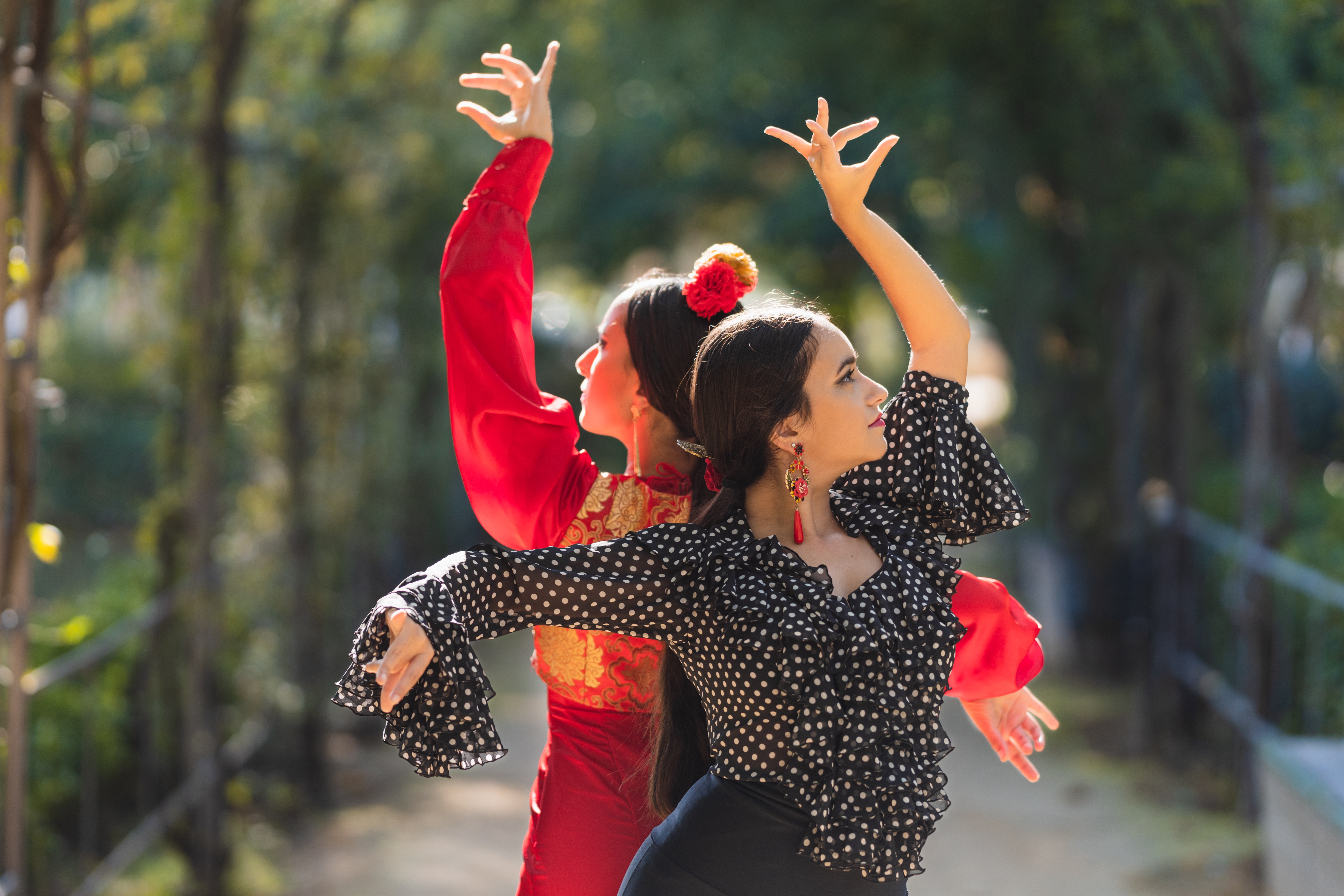 Clases de Flamenco