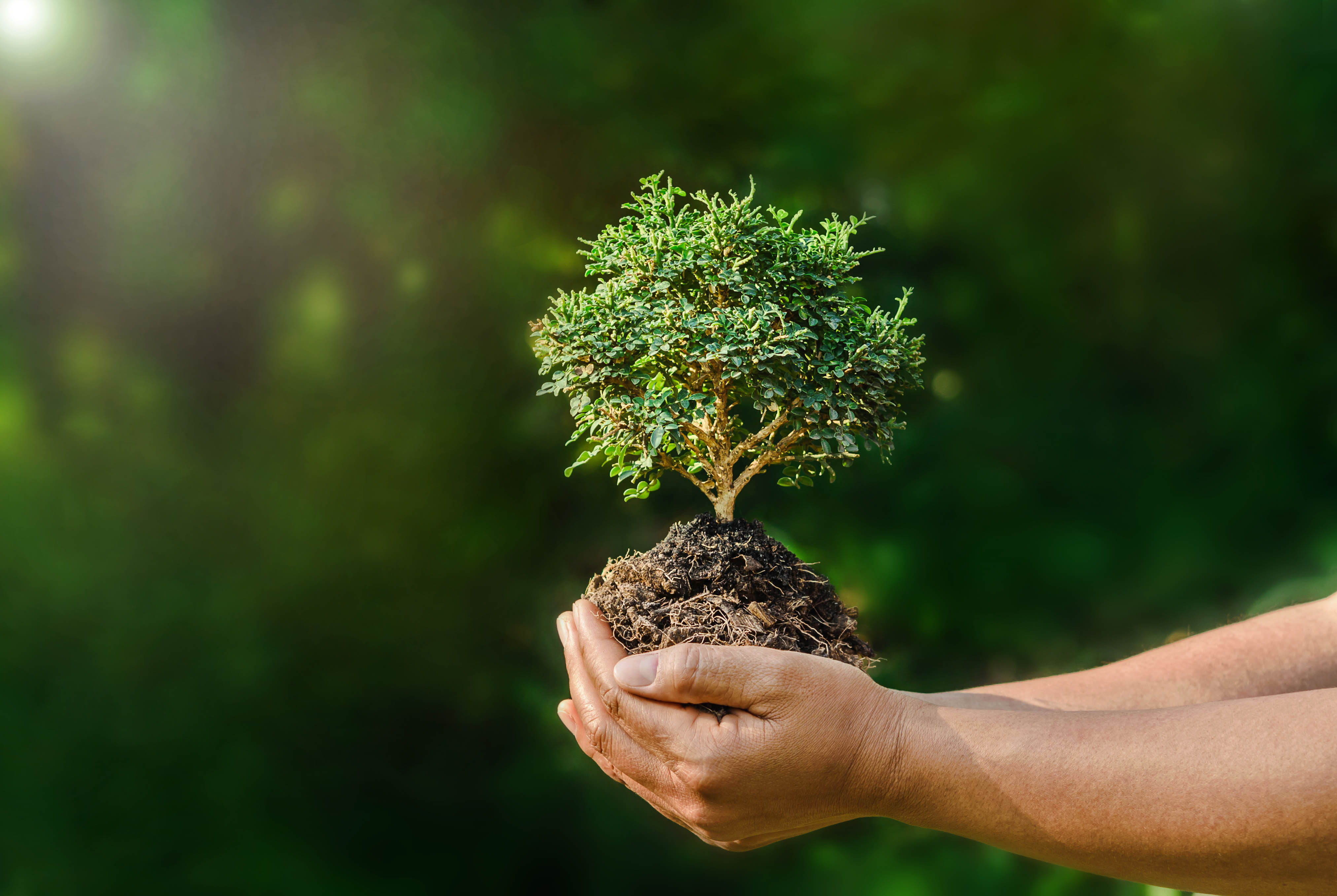 Servicios de Medio Ambiente