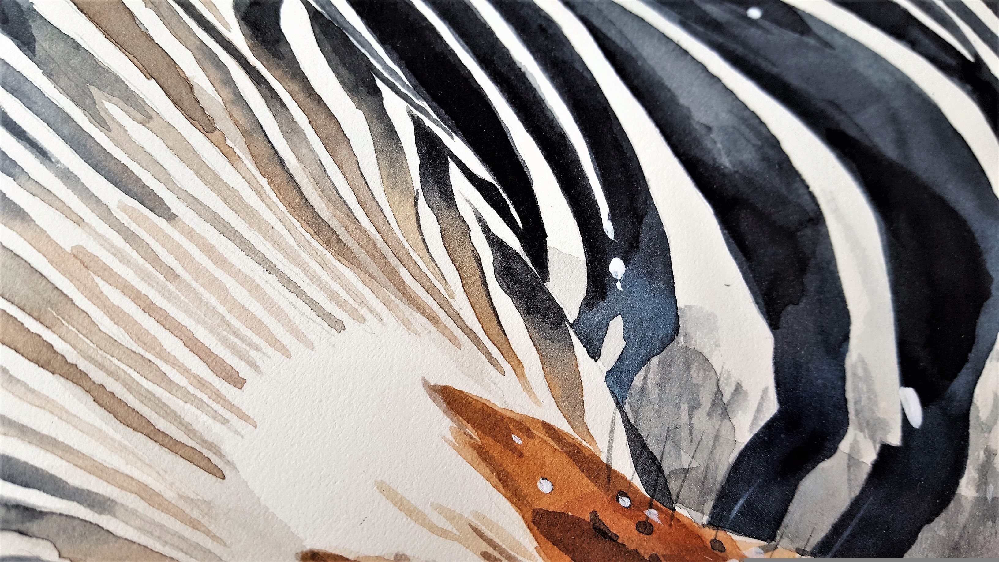 TEXTILE CUSTOMIZATION