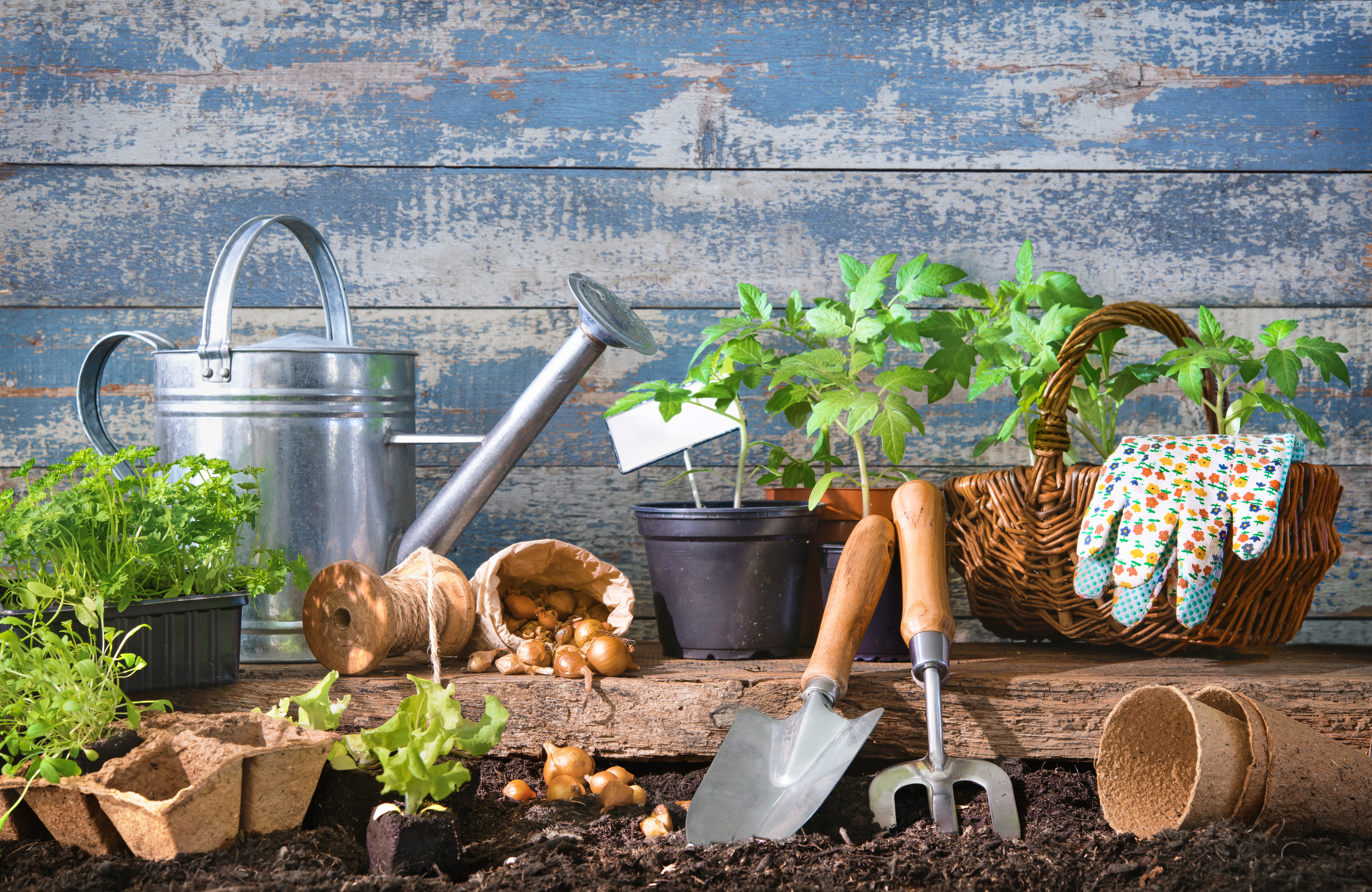 Labores de mantenimiento de jardines