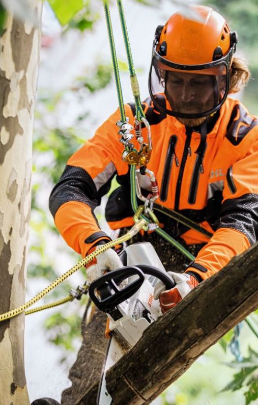 Material de arborismo y seguridad