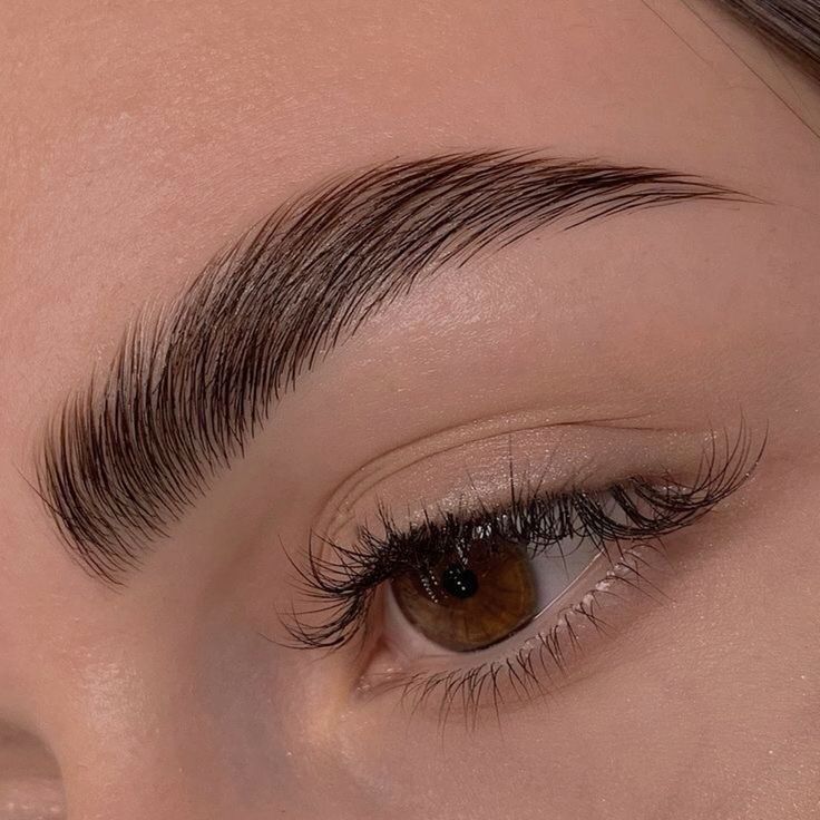 Labios, cejas y eyeliner