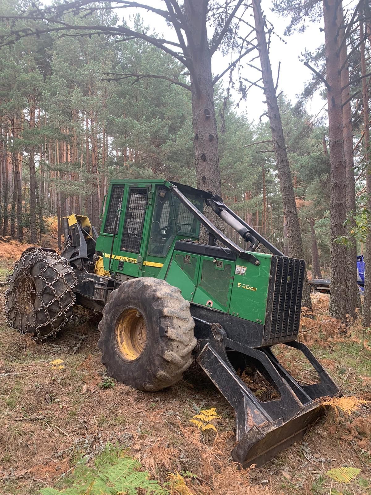 Servicios Forestales