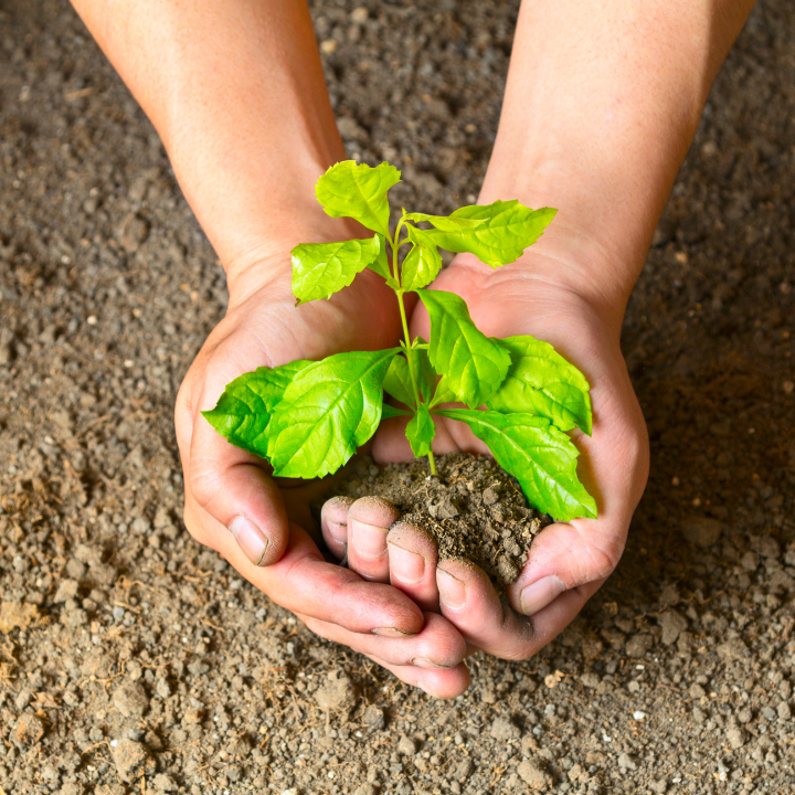 Transición Ecológica