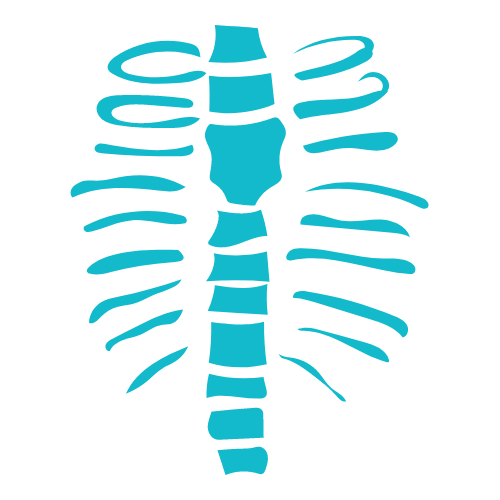 Fisioterapia general