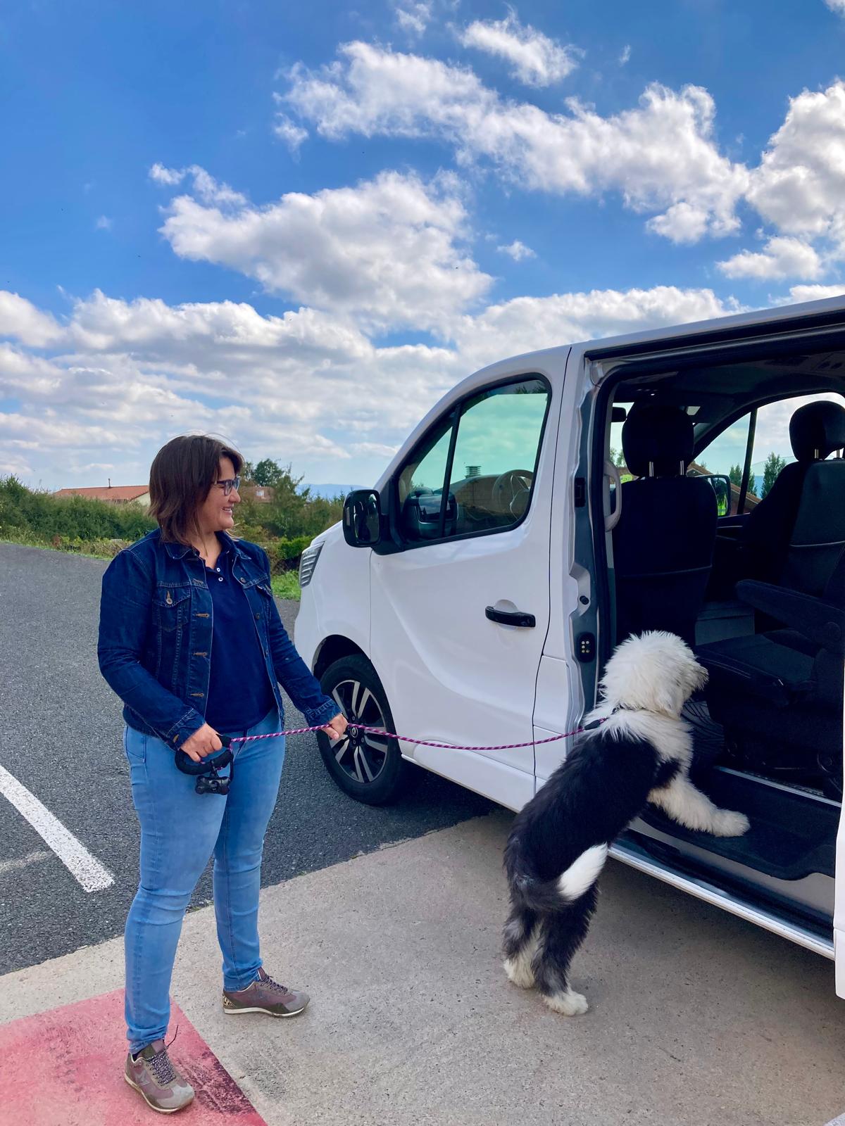 Transporte de mascotas