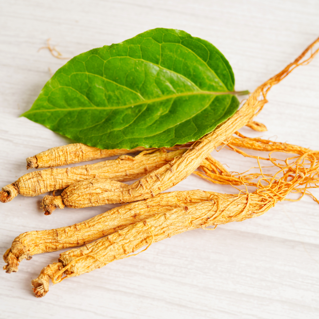 Ginseng