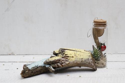 Externalización de Servicios