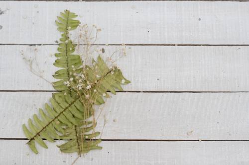 Eficiencia Energética