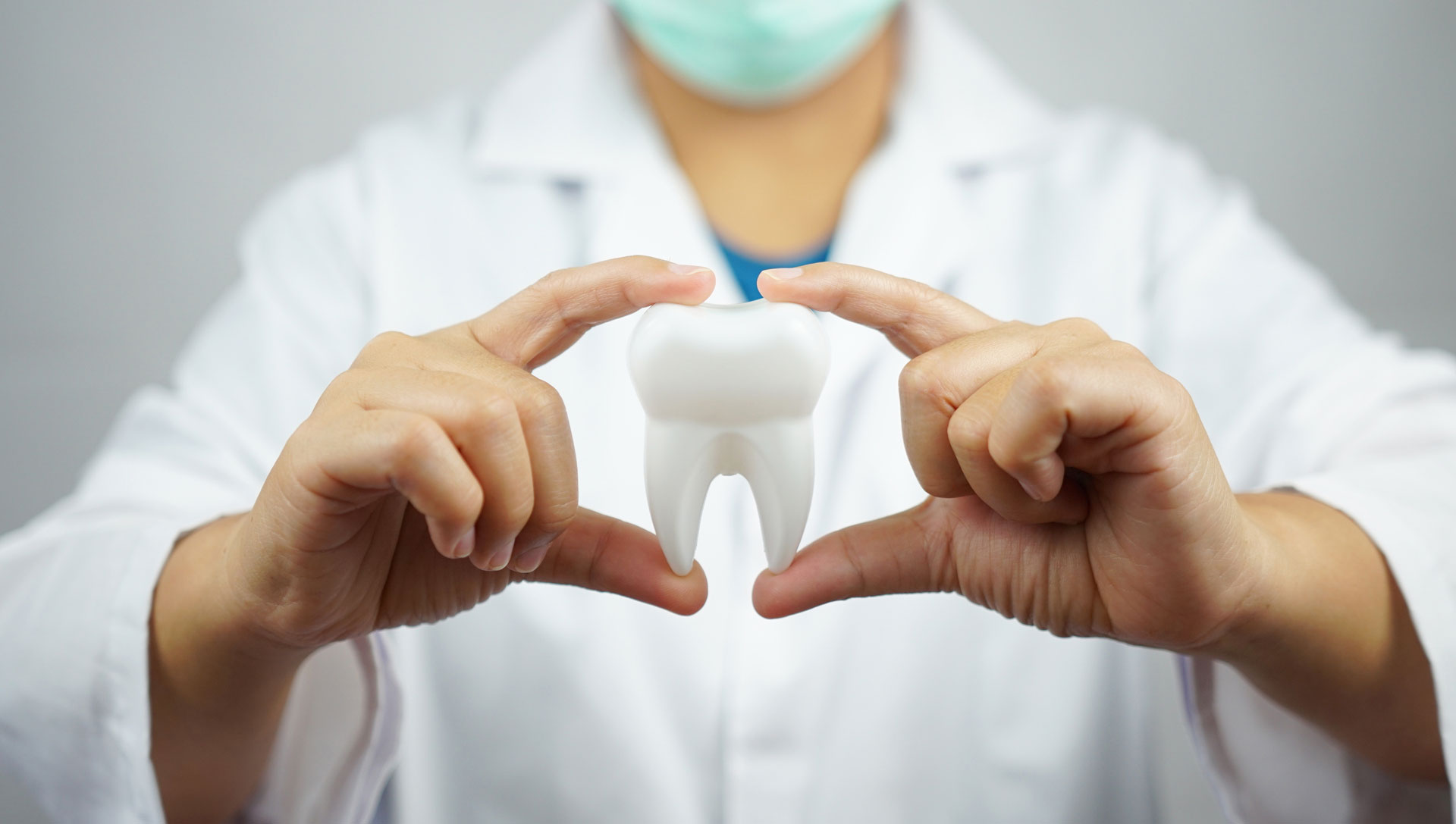 odontología general