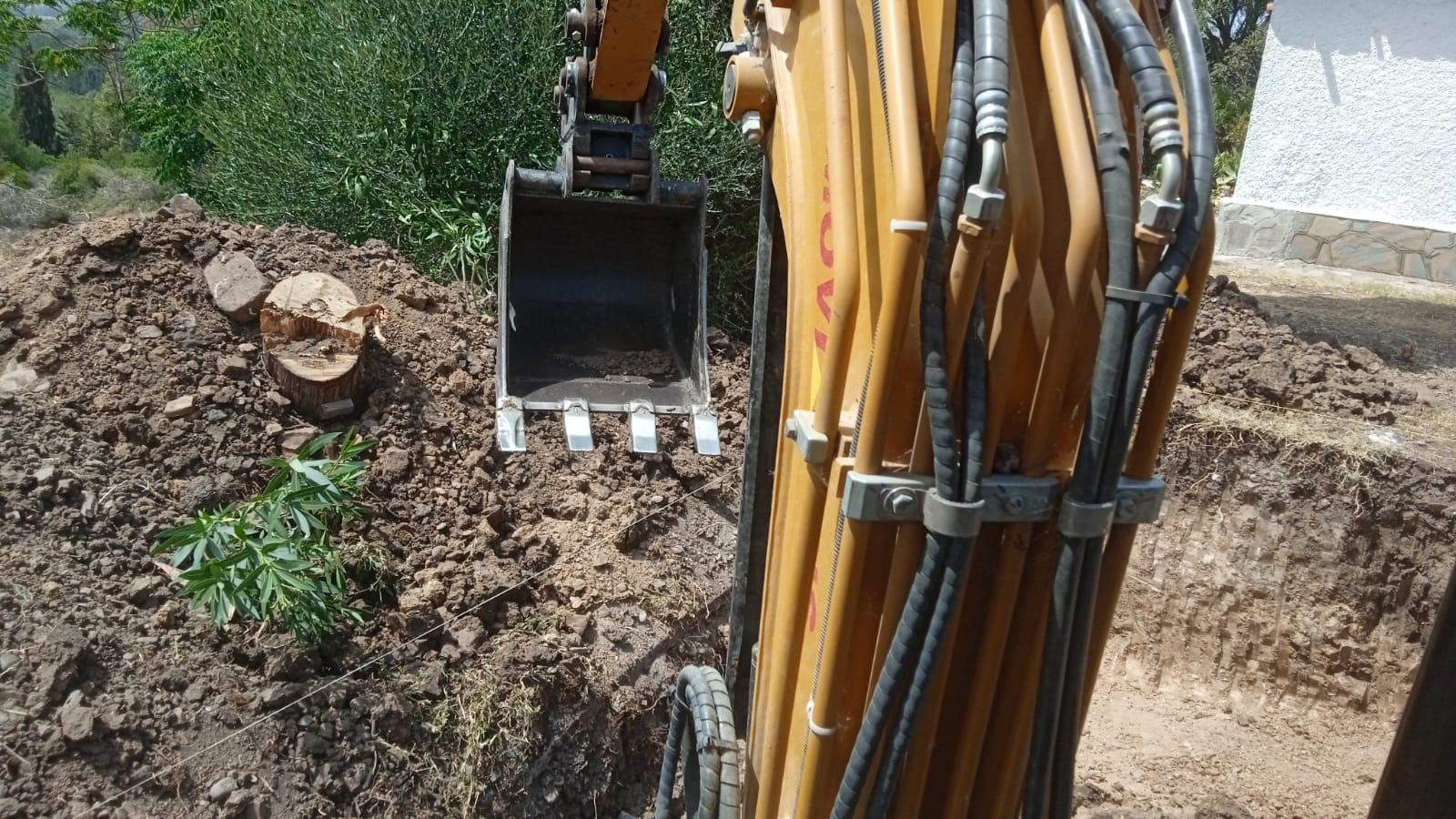 Servicios forestales: limpieza del monte con máquinas