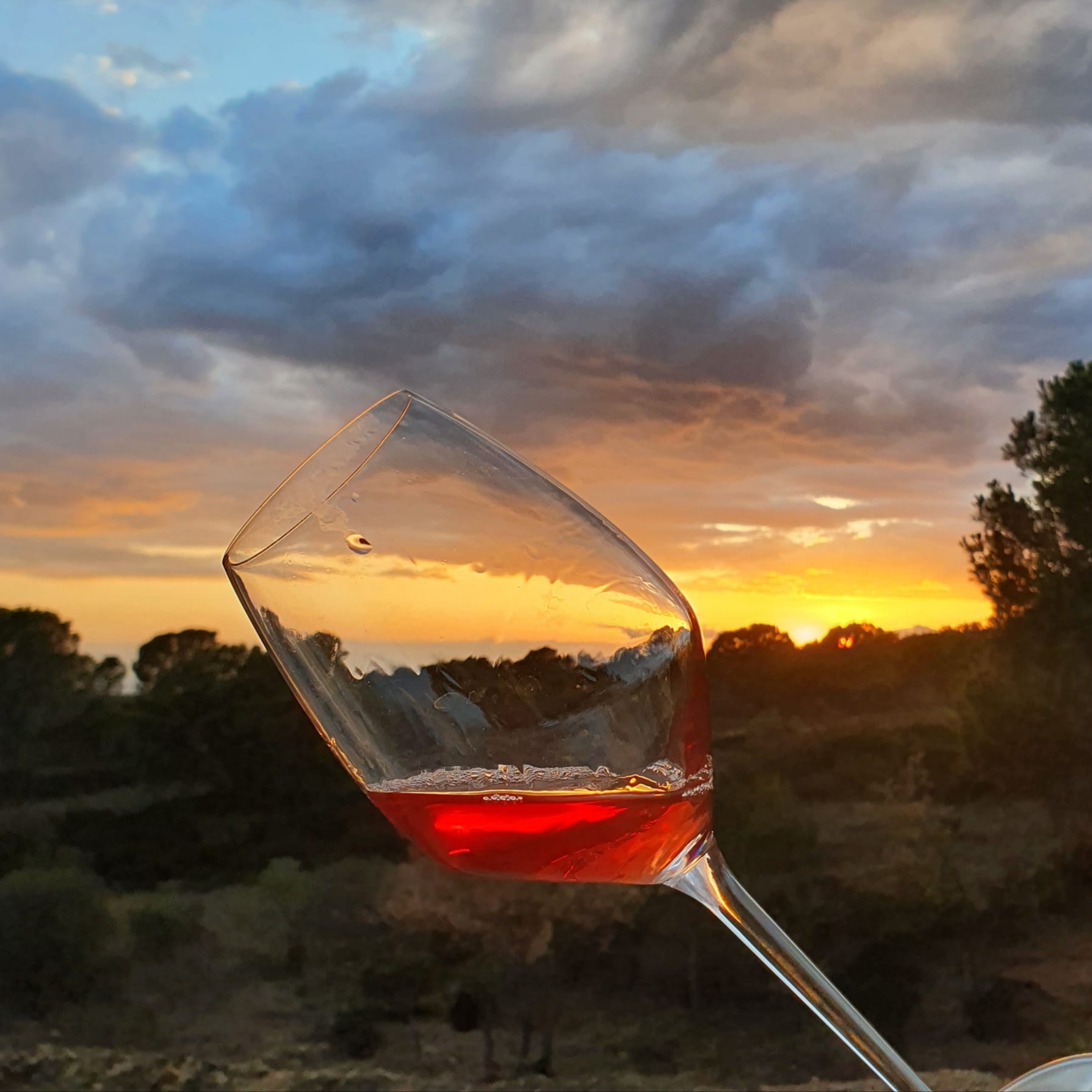 Barricas de vino a granel