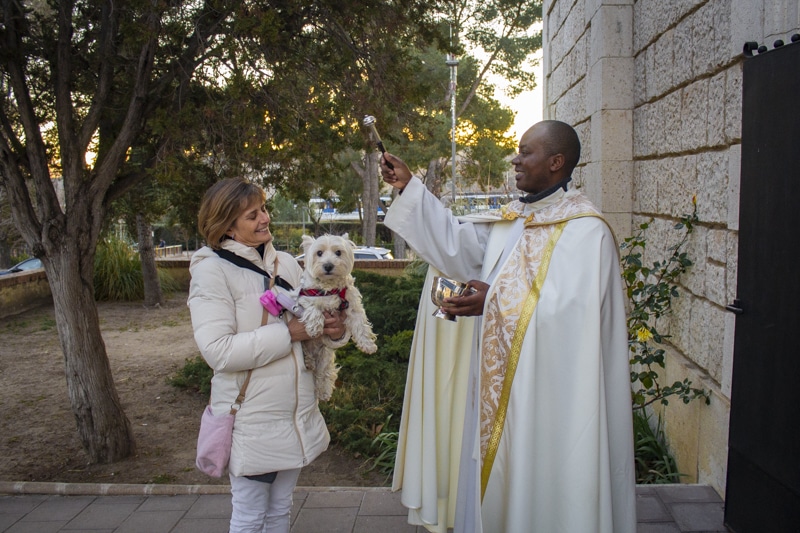 Rivas celebra San Antón con la tradicional bendición de animales