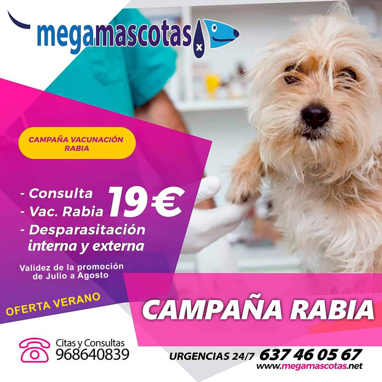 Campaña Vacunación Rabia