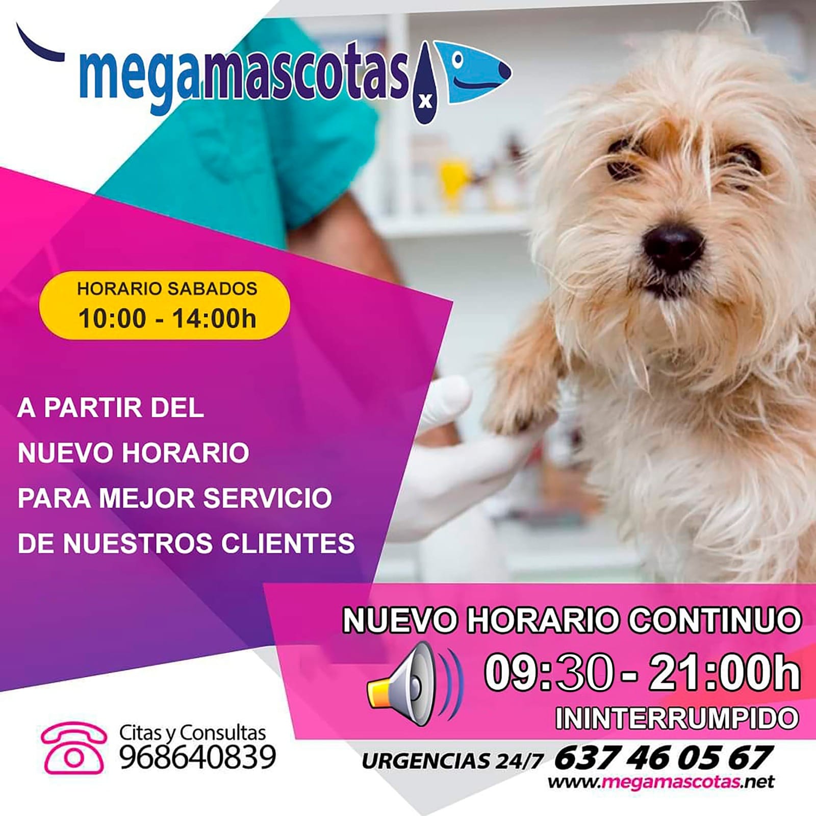 Nuevo horario