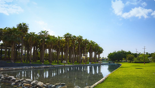 Book Your Park Visit