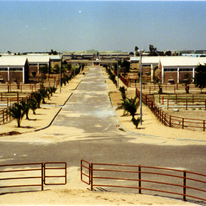 bg-slide