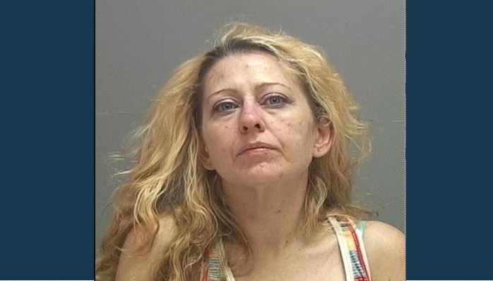 Magna Woman Charged With Unlawful Sex With Minor Gephardt Daily 8180