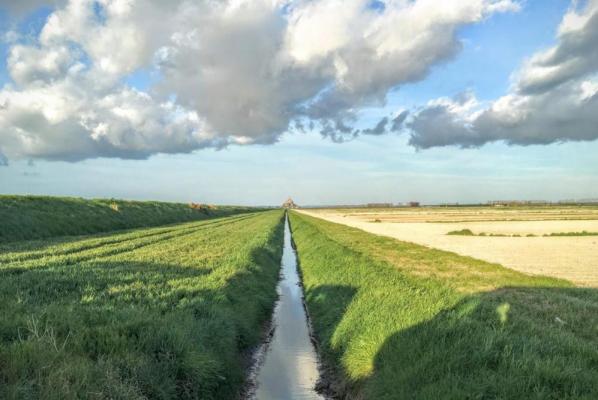Study-shows-streams-are-reliable-indicators-of-a-regions-environmental-health