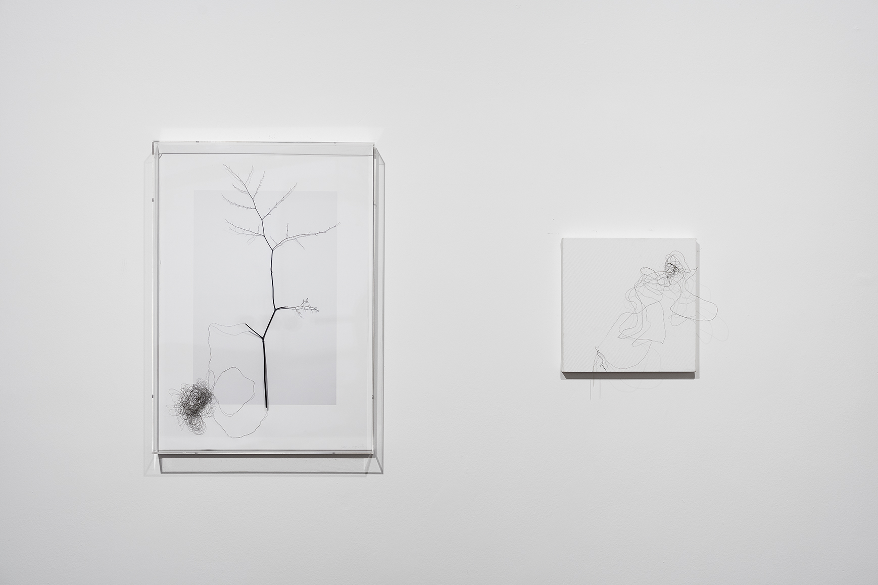 Série “Natureza em expansão”, 2015, vista da exposição no Paço Imperial - RJ