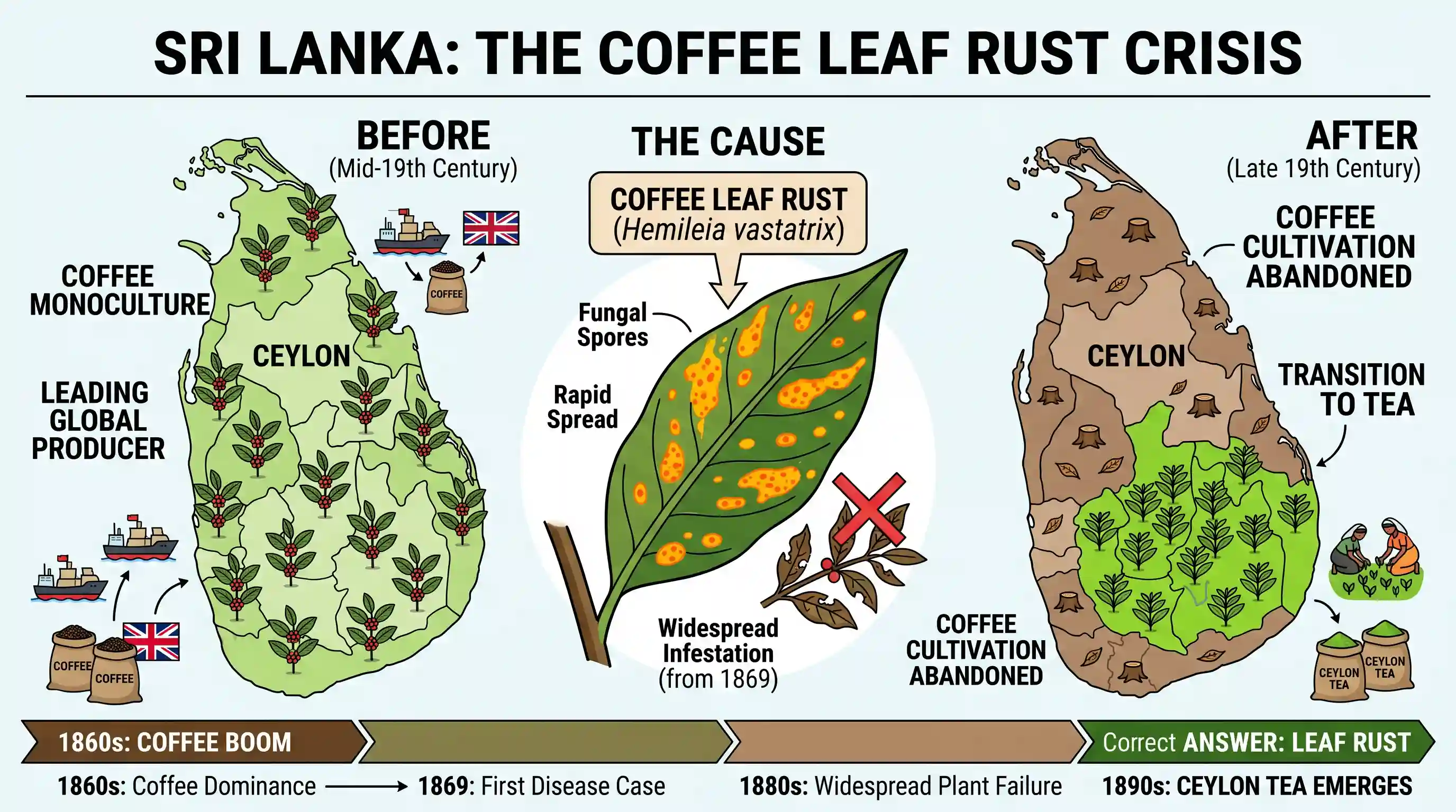 geography: Coffee cultivation in Sri Lanka was abandoned because of the disease
