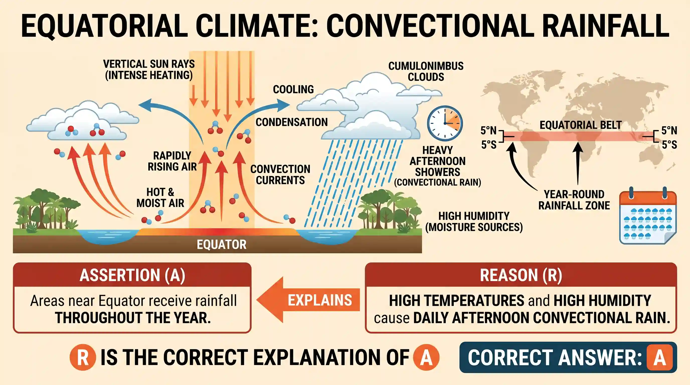 geography: Assertion (A): Areas near the equator receive rainfall throughout the year. Reason (R): High temperatures and high humid