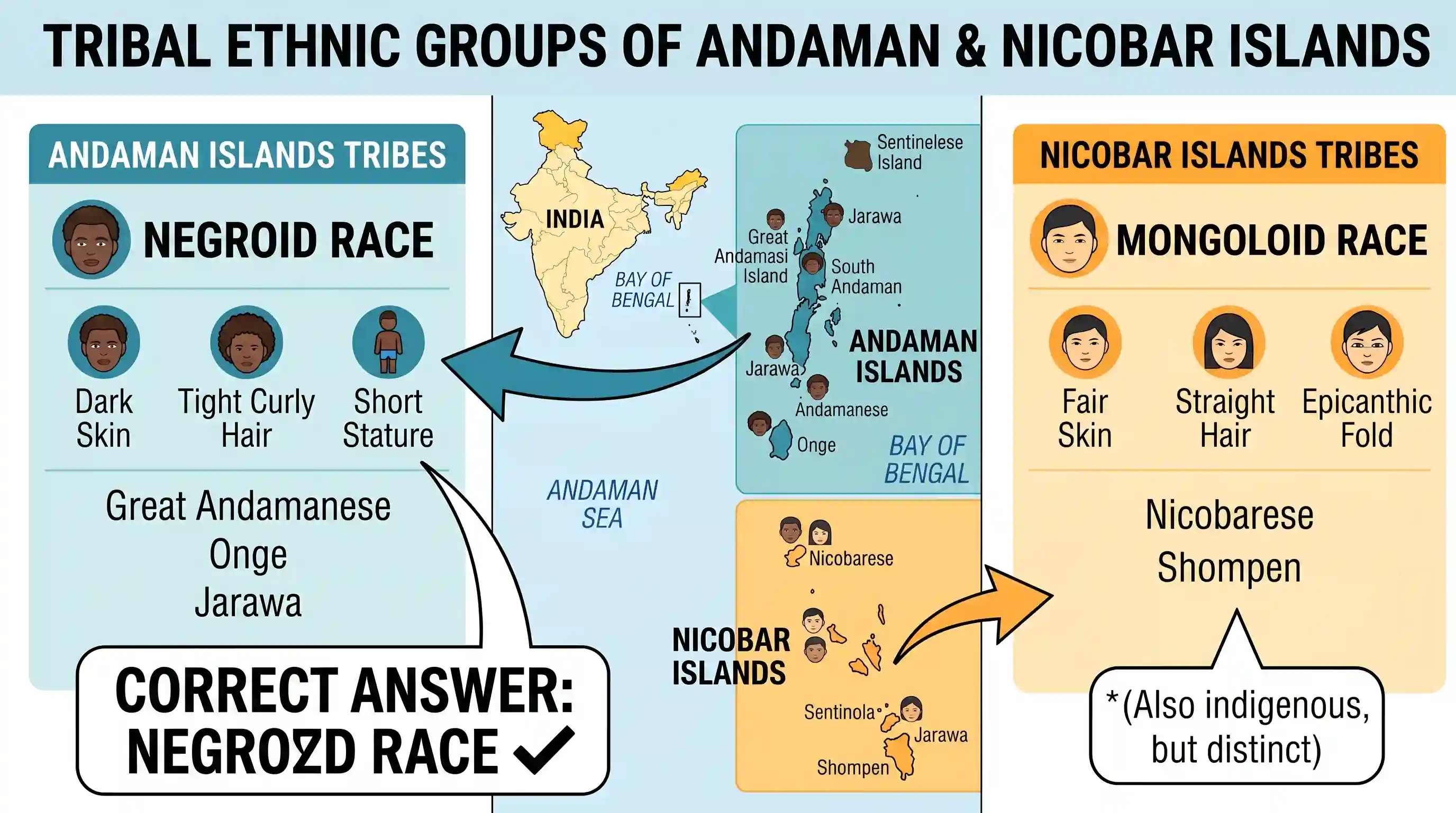 geography: The tribal population in Andaman and Nicobar Islands belongs to the