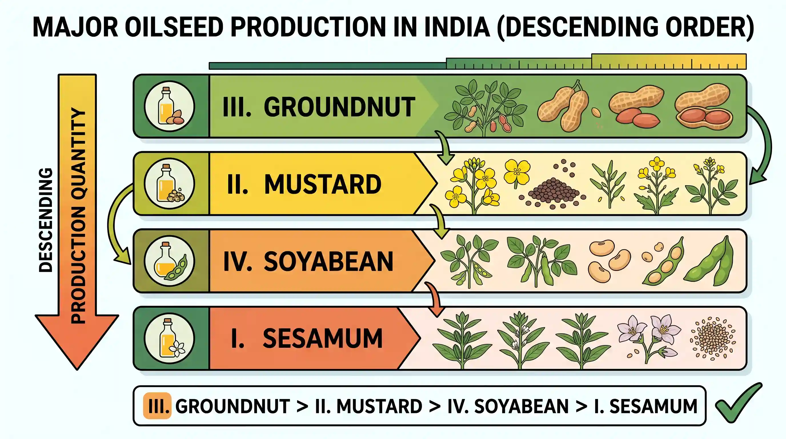 geography: The following are the major oilseeds produced in India: I. Sesamum II. Mustard III. Groundnut IV. Soyabean Which one of