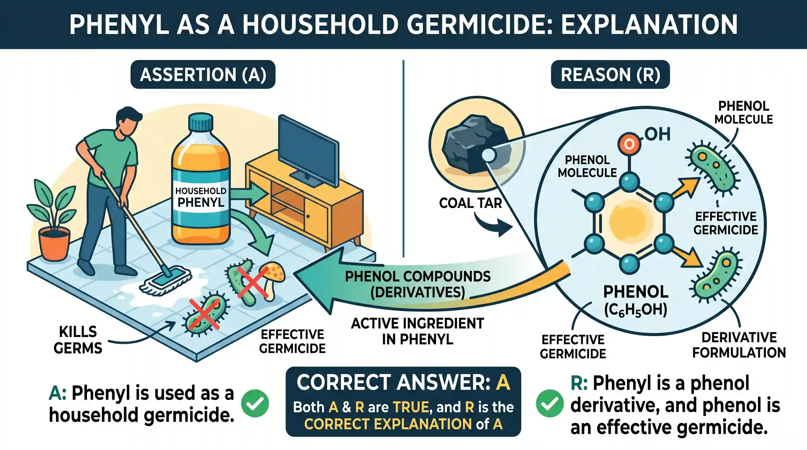 science-and-technology: Assertion (A): Phenyl is used as a household germicide. Reason (R): Phenyl is a phenol derivative and phenol are an effe